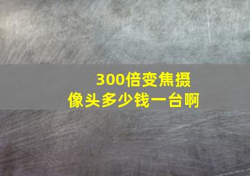 300倍变焦摄像头多少钱一台啊