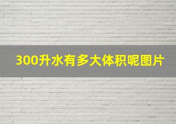 300升水有多大体积呢图片