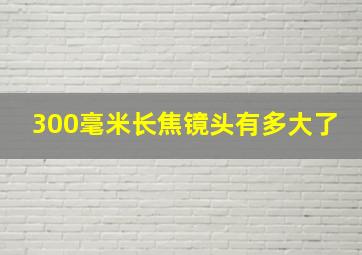 300毫米长焦镜头有多大了