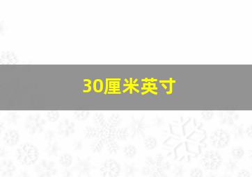 30厘米英寸