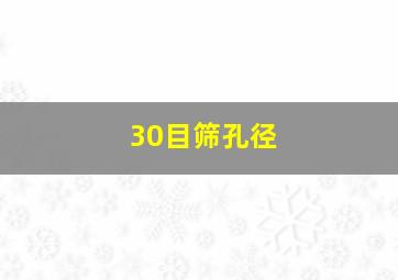 30目筛孔径