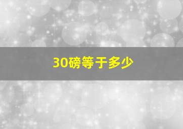 30磅等于多少