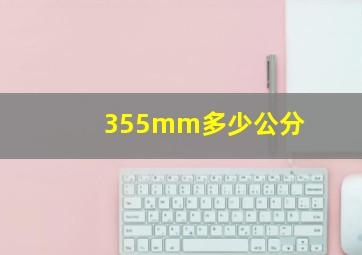 355mm多少公分