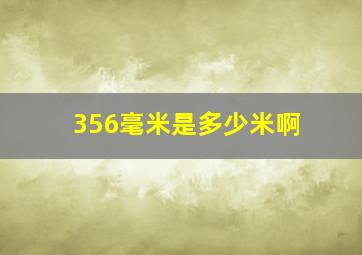 356毫米是多少米啊