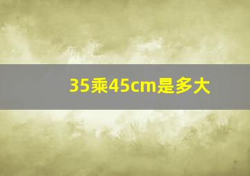 35乘45cm是多大