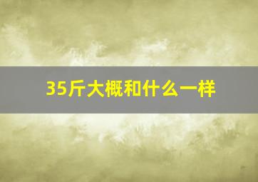 35斤大概和什么一样