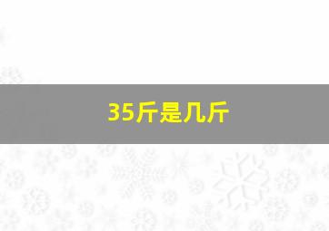 35斤是几斤