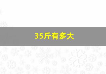 35斤有多大