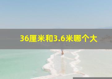 36厘米和3.6米哪个大