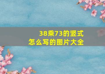 38乘73的竖式怎么写的图片大全