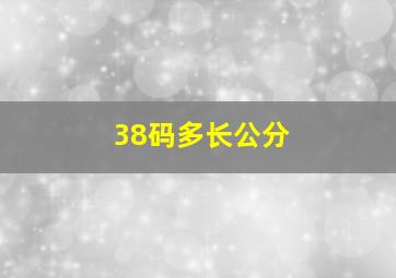 38码多长公分