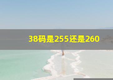 38码是255还是260