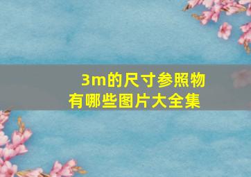 3m的尺寸参照物有哪些图片大全集