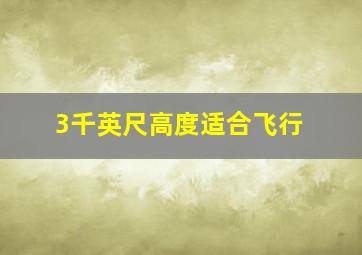 3千英尺高度适合飞行