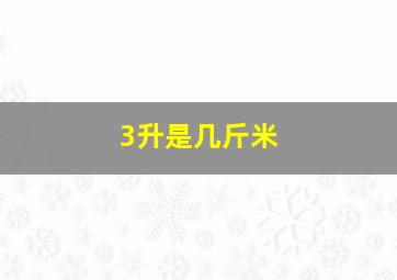 3升是几斤米