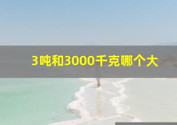 3吨和3000千克哪个大