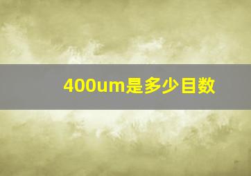 400um是多少目数