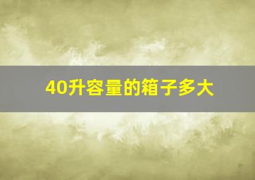 40升容量的箱子多大