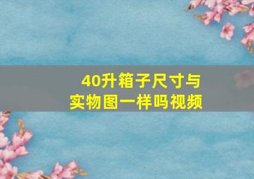 40升箱子尺寸与实物图一样吗视频