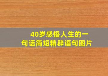 40岁感悟人生的一句话简短精辟语句图片