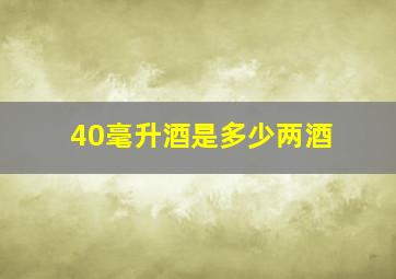 40毫升酒是多少两酒