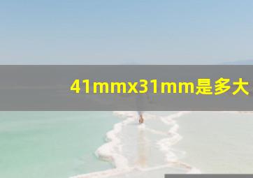 41mmx31mm是多大