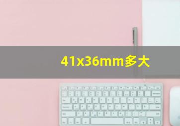 41x36mm多大