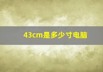 43cm是多少寸电脑