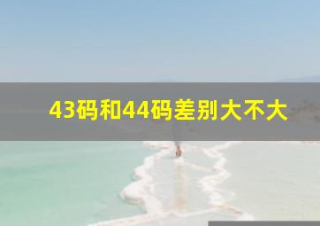 43码和44码差别大不大