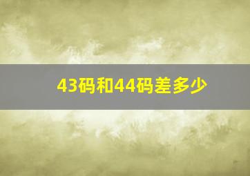 43码和44码差多少