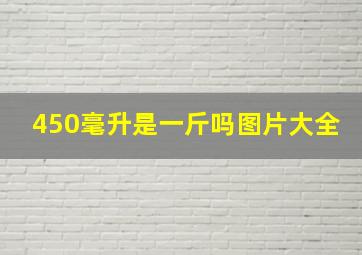 450毫升是一斤吗图片大全