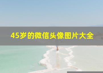 45岁的微信头像图片大全