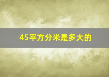 45平方分米是多大的