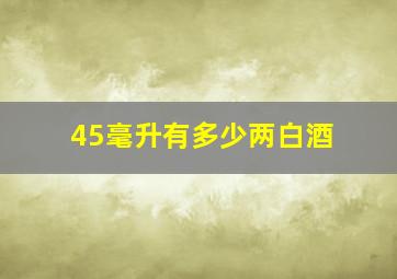 45毫升有多少两白酒