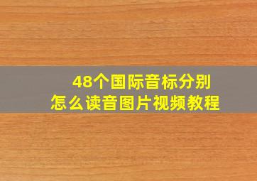 48个国际音标分别怎么读音图片视频教程