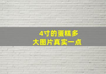 4寸的蛋糕多大图片真实一点