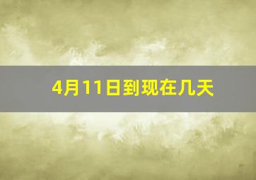 4月11日到现在几天