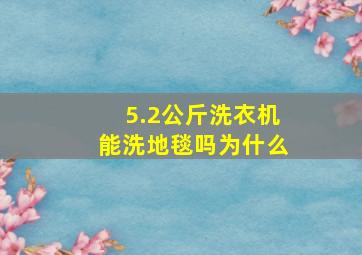 5.2公斤洗衣机能洗地毯吗为什么