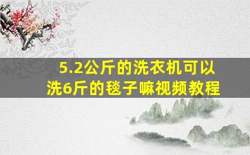 5.2公斤的洗衣机可以洗6斤的毯子嘛视频教程