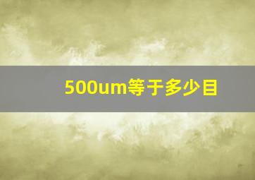 500um等于多少目