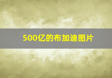 500亿的布加迪图片