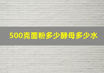 500克面粉多少酵母多少水