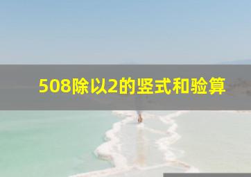 508除以2的竖式和验算