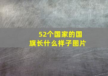 52个国家的国旗长什么样子图片