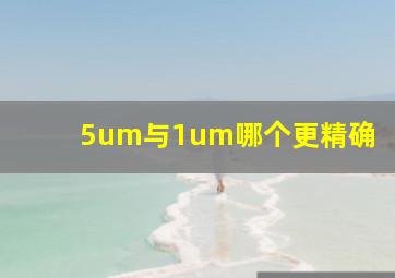 5um与1um哪个更精确