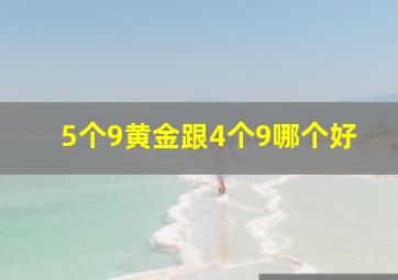 5个9黄金跟4个9哪个好