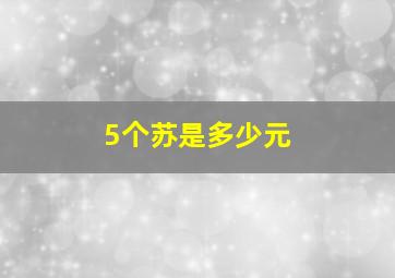 5个苏是多少元