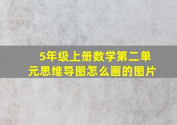 5年级上册数学第二单元思维导图怎么画的图片