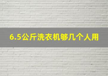 6.5公斤洗衣机够几个人用