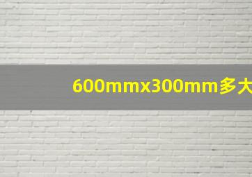 600mmx300mm多大